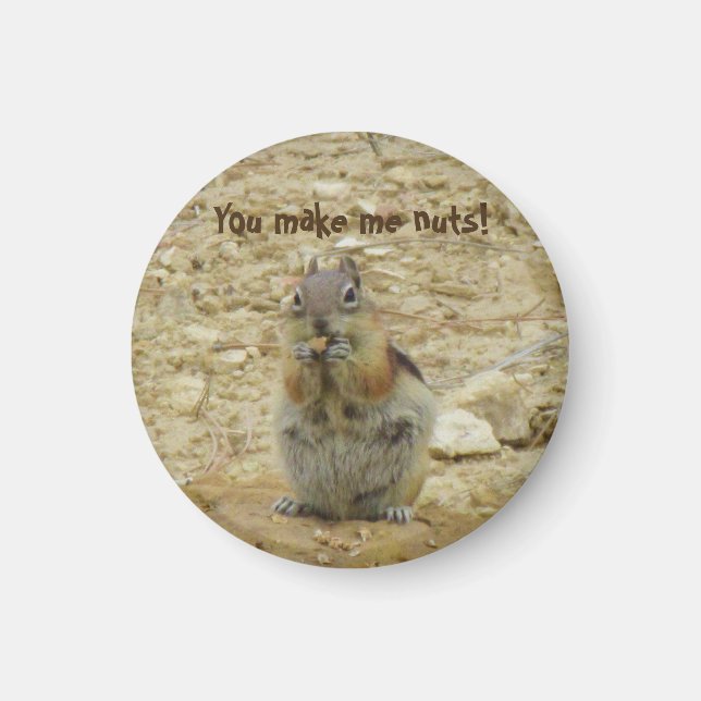 Chipmunk Funny Magnet (Framsidan)