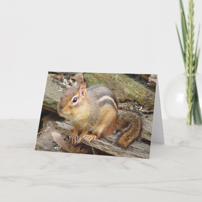 Chipmunk Greeting Card 2 Kort (Framsida)