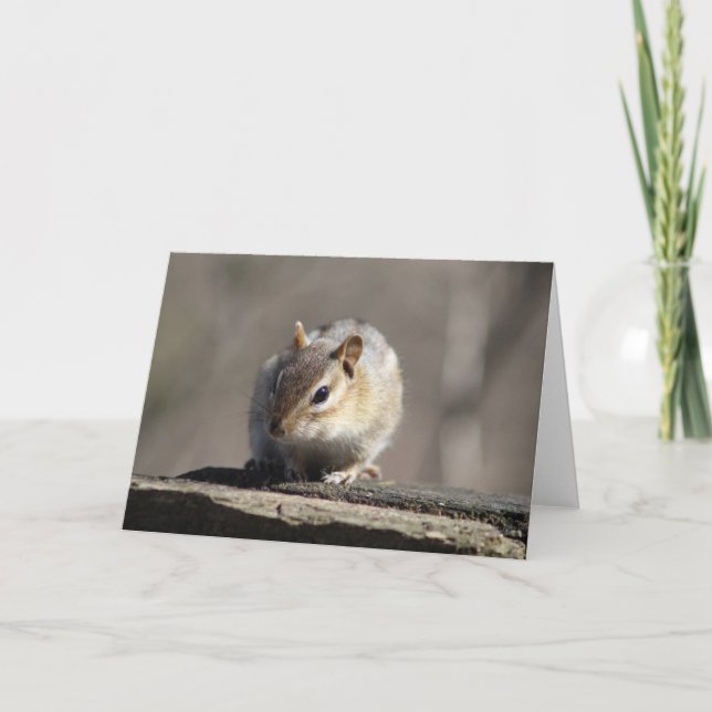 Chipmunk Greeting Card Kort (Framsida)