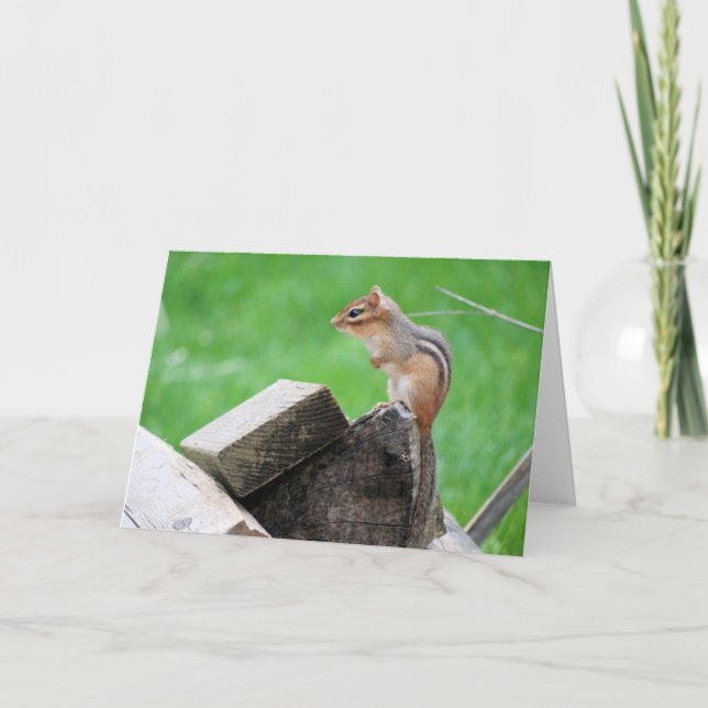 Chipmunk Greeting Card Kort (Framsida)
