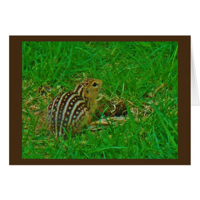 Chipmunk Hej Hälsningskort (Framsidan Horizontal)