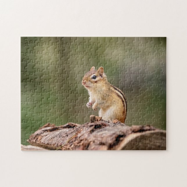 Chipmunk i Adirondacks Pussel (Horisontell)