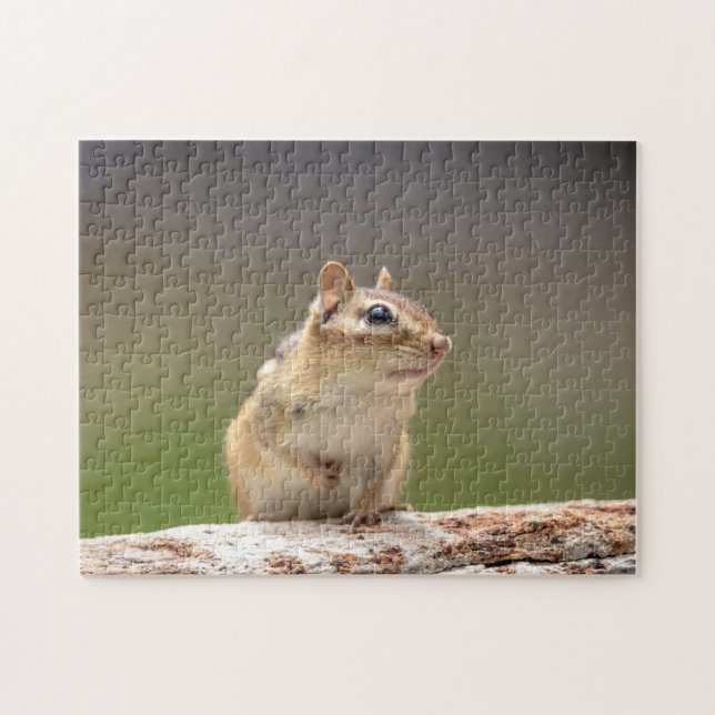 Chipmunk i Adirondacks Pussel (Horisontell)