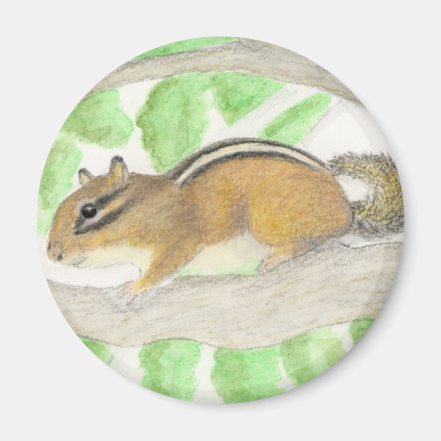 Chipmunk i Apple Träd Magnet (Framsidan)