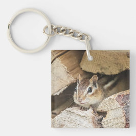 Chipmunk i en träpil