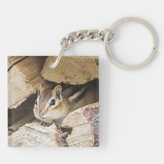 Chipmunk i en träpil (Baksidan)