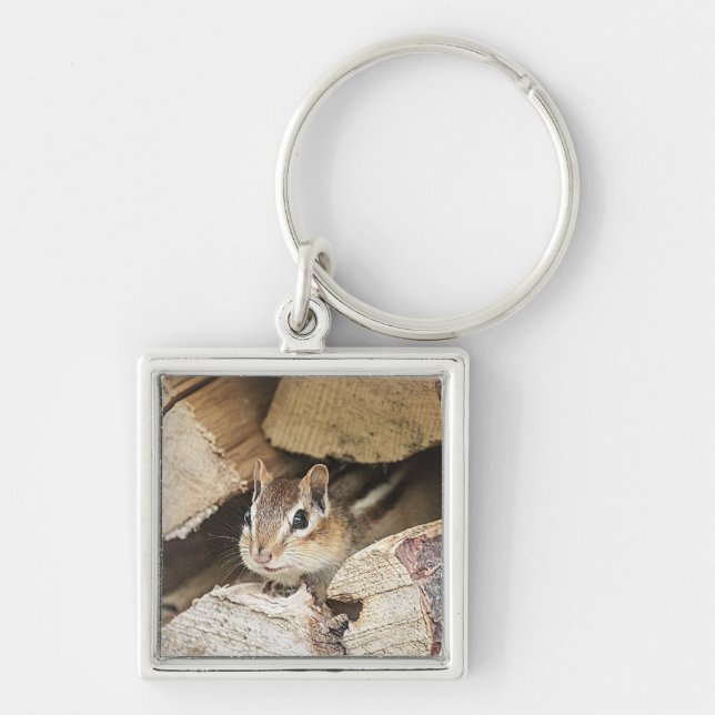 Chipmunk i en träpil fyrkantig silverfärgad nyckelring (Framsidan)