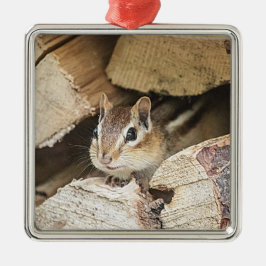 Chipmunk i en träpil julgransprydnad metall