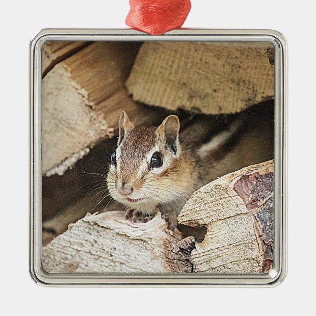 Chipmunk i en träpil julgransprydnad metall (Framsidan)