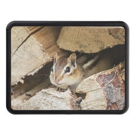 Chipmunk i en träpil skydd för dragkrok