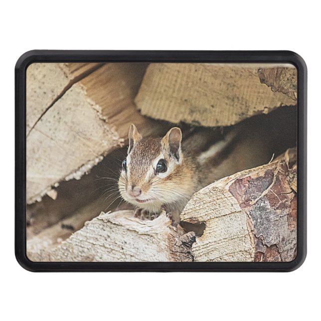 Chipmunk i en träpil skydd för dragkrok (Framsidan)