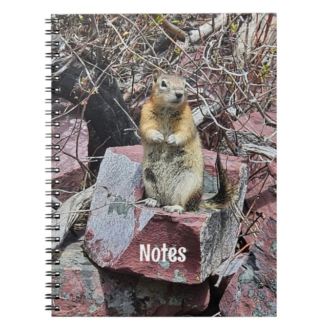Chipmunk i Glacier National Park-foto Anteckningsbok (Framsidan)
