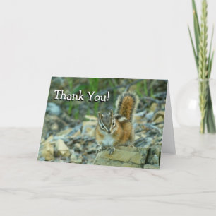 Chipmunk i Glacier National Park Tack Kort