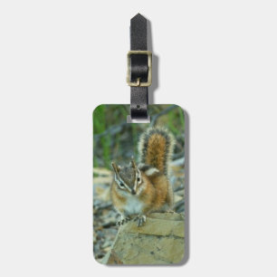 Chipmunk i Glacier nationalpark Bagagebricka