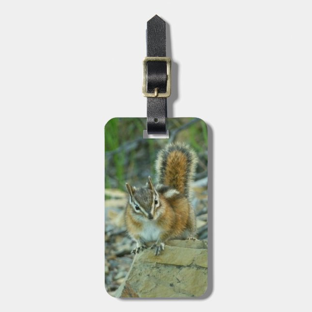 Chipmunk i Glacier nationalpark Bagagebricka (Vertikal Framsida)