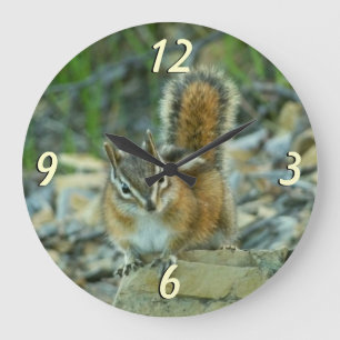 Chipmunk i Glacier nationalpark I Stor Klocka