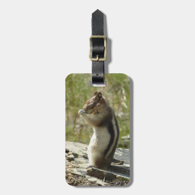Chipmunk i Glacier nationalpark II Bagagebricka (Vertikal Framsida)