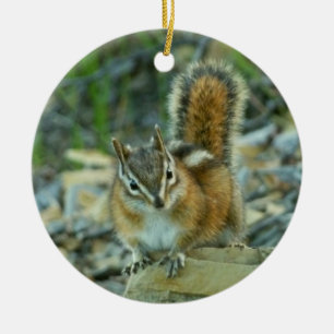 Chipmunk i Glacier nationalpark Julgransprydnad Keramik