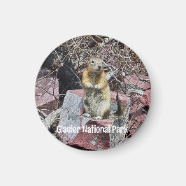 Chipmunk i Glacier nationalpark Magnet