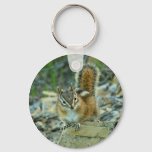 Chipmunk i Glacier nationalpark Nyckelring
