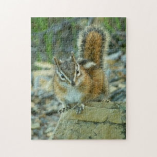 Chipmunk i Glacier nationalpark Pussel