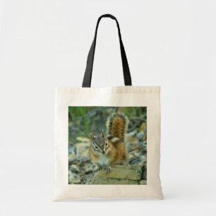 Chipmunk i Glacier nationalpark Tygkasse