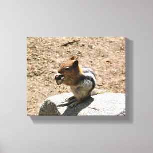 Chipmunk i Yosemite, Kalifornien Canvastryck