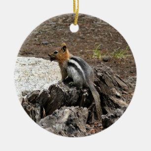Chipmunk i Yosemite, Kalifornien Julgransprydnad Keramik