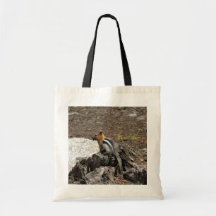 Chipmunk i Yosemite, Kalifornien Tygkasse