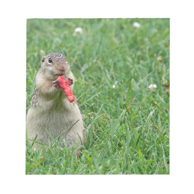 Chipmunk.JPG Anteckningsblock (Framsida)