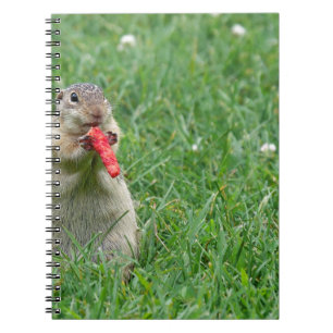 Chipmunk.JPG Anteckningsbok Med Spiral