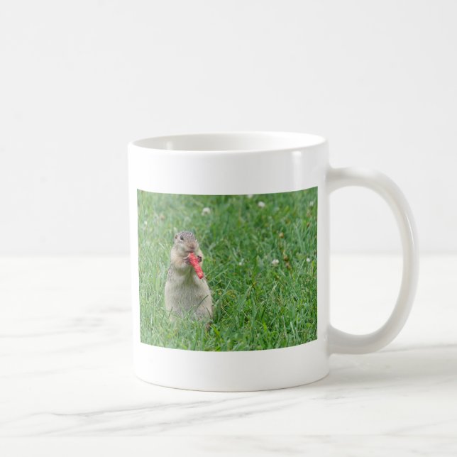 Chipmunk.JPG Kaffemugg (Höger)