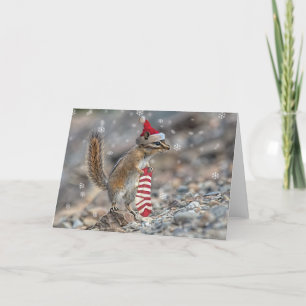 Chipmunk-julkort Helgkort