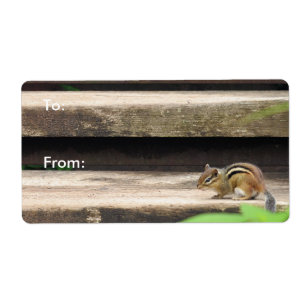 Chipmunk klättning Trappor Fraktsedel