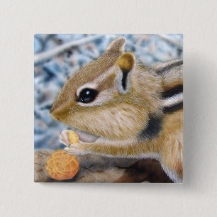 Chipmunk Knapp