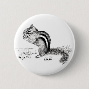 Chipmunk Knapp