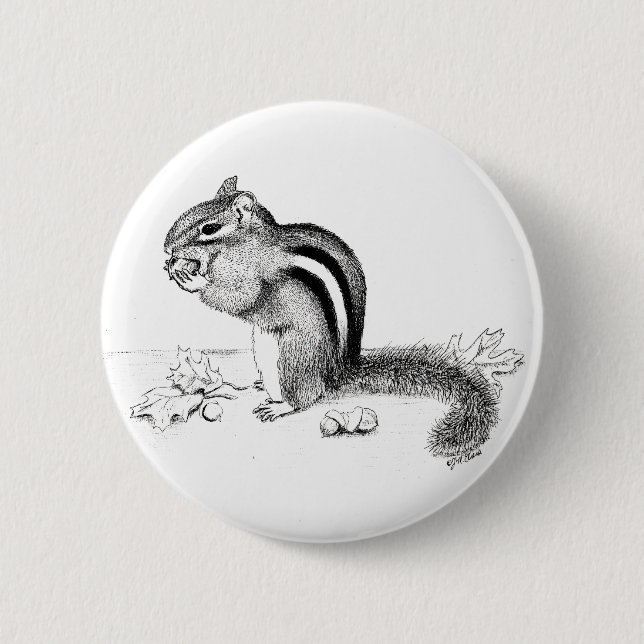 Chipmunk Knapp (Framsida)