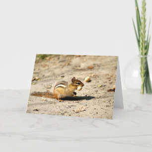 Chipmunk Kort