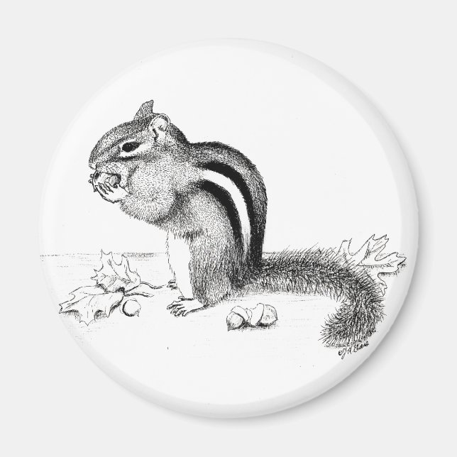 Chipmunk Magnet (Framsidan)