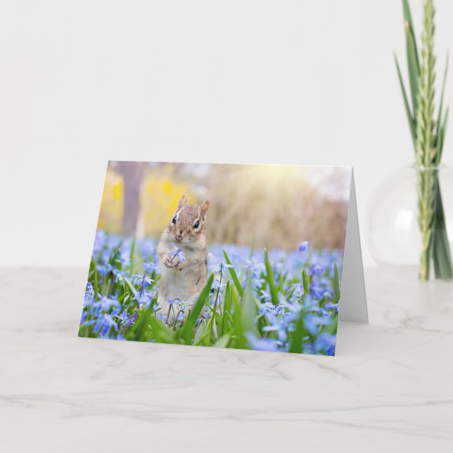 Chipmunk med blomkort kort (Framsida)