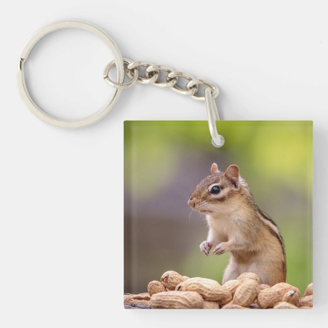 Chipmunk med jordnötter (Framsidan)