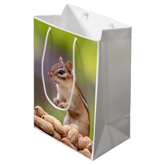 Chipmunk med jordnötter (Framsidan Vinklad)