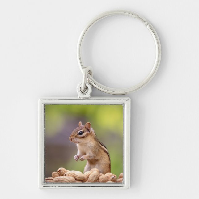 Chipmunk med jordnötter fyrkantig silverfärgad nyckelring (Framsidan)