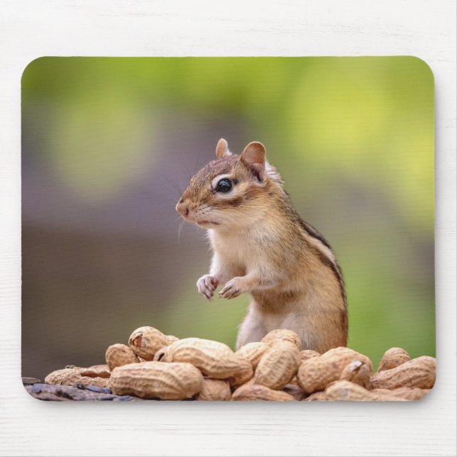 Chipmunk med jordnötter musmatta (Framsidan)
