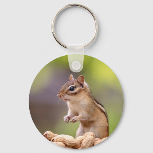Chipmunk med jordnötter nyckelring