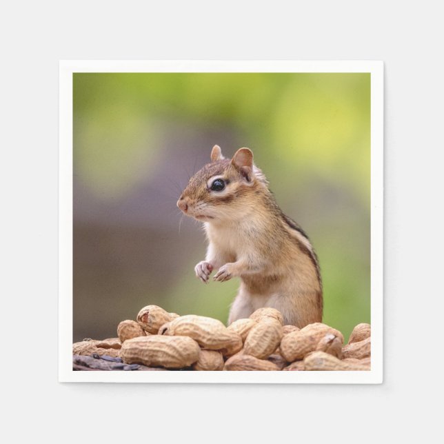 Chipmunk med jordnötter pappersservett (Framsidan)