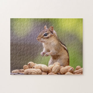 Chipmunk med jordnötter pussel