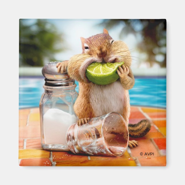 Chipmunk med kalk magnet (Framsidan)