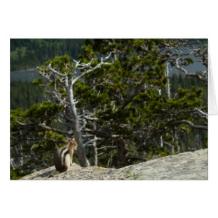 Chipmunk med två Medicine Sjö Overlook Hälsningskort