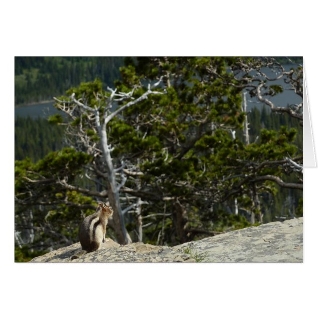 Chipmunk med två Medicine Sjö Overlook Hälsningskort (Framsidan Horizontal)